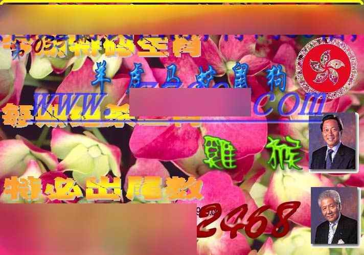 033期桃花岛内幕报[图]