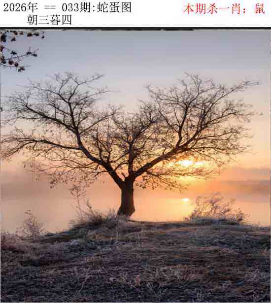 033期正版蛇蛋图[图]